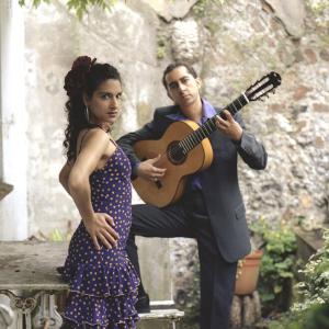 Flamenco guitarist also available with dancer and other musicians
