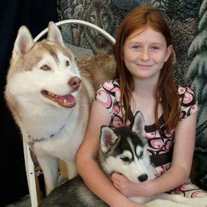 Huskies for photography, petting and Santa's arrival - click for more