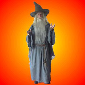Gandalf style wizard