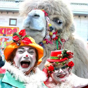camels with clowns