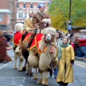 camels in Leicester