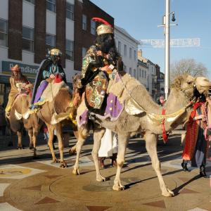 camels in town centre