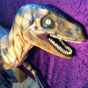 Dinosaur close up